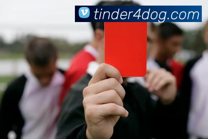 奖项证书